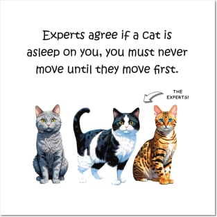 Experts agree if a cat is asleep on you, you must never move until they move first - funny watercolour cat design Posters and Art